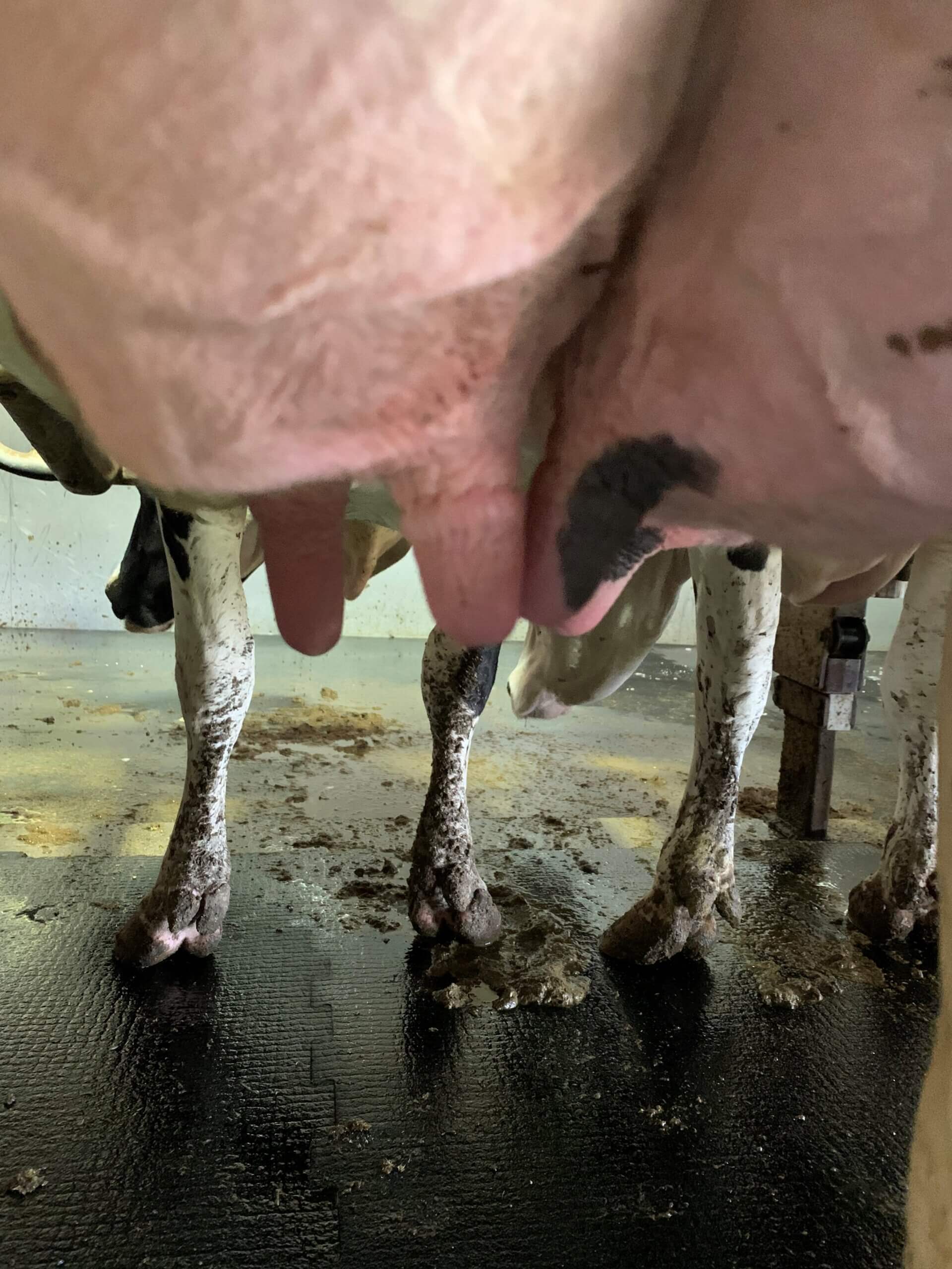 High mouth piece vacuum